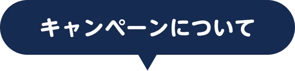 キャンペーンについて